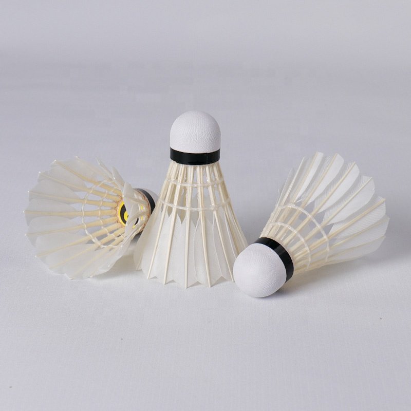 Sale Class A Straighten Goose Feather China Honkoo-06 Aeroplane Speed 74-79 12pcs Badminton Tube Shuttlecock For Training