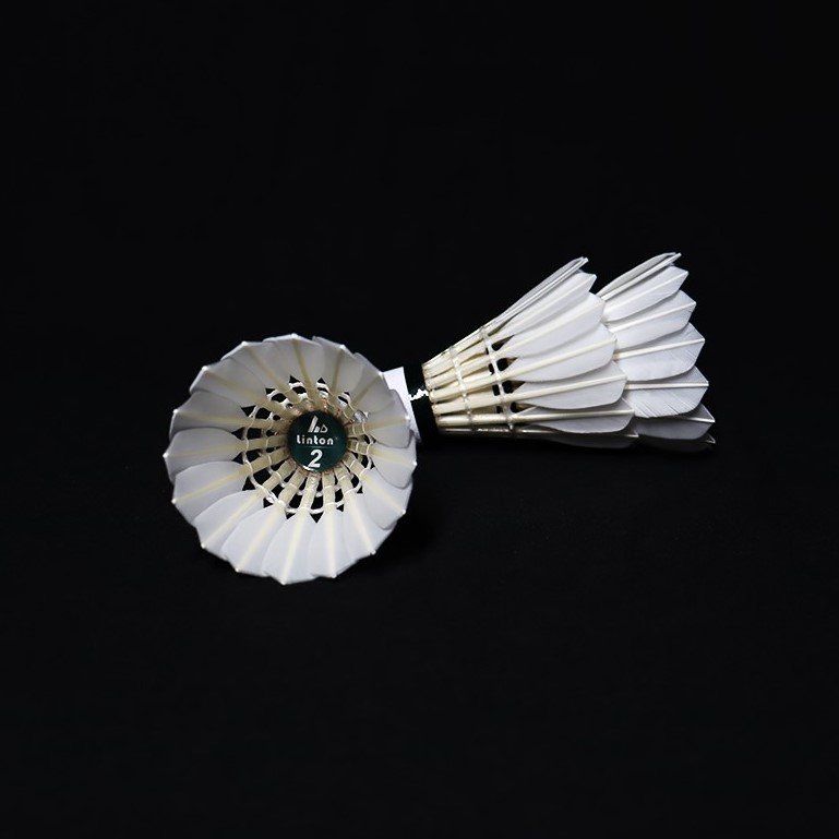 Cheap Chinese Manufacturer Wholesale Cheap Exercise Fitness Duck Feather Good Flight Badminton