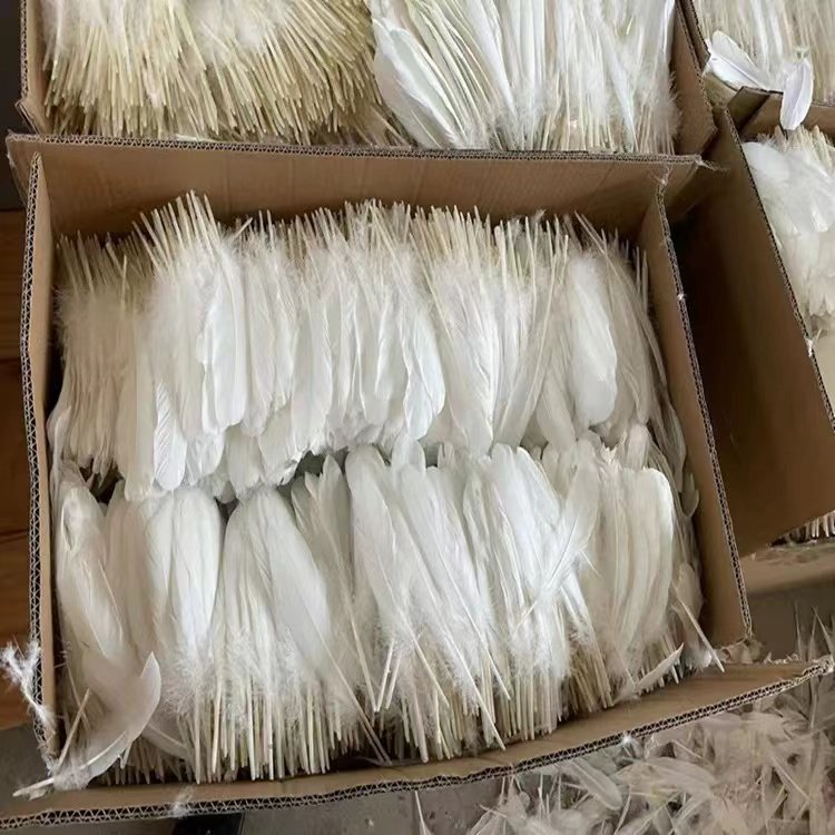 Manufacturers wholesale high-quality goose feather for shuttlecock Indonesian shuttlecock feather