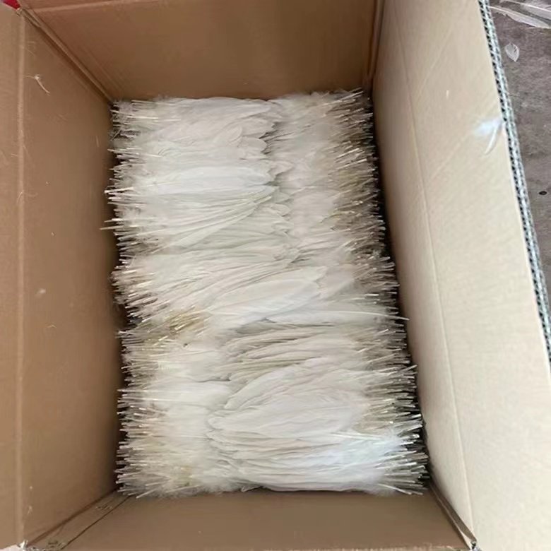 Manufacturers wholesale high-quality goose feather for shuttlecock Indonesian shuttlecock feather