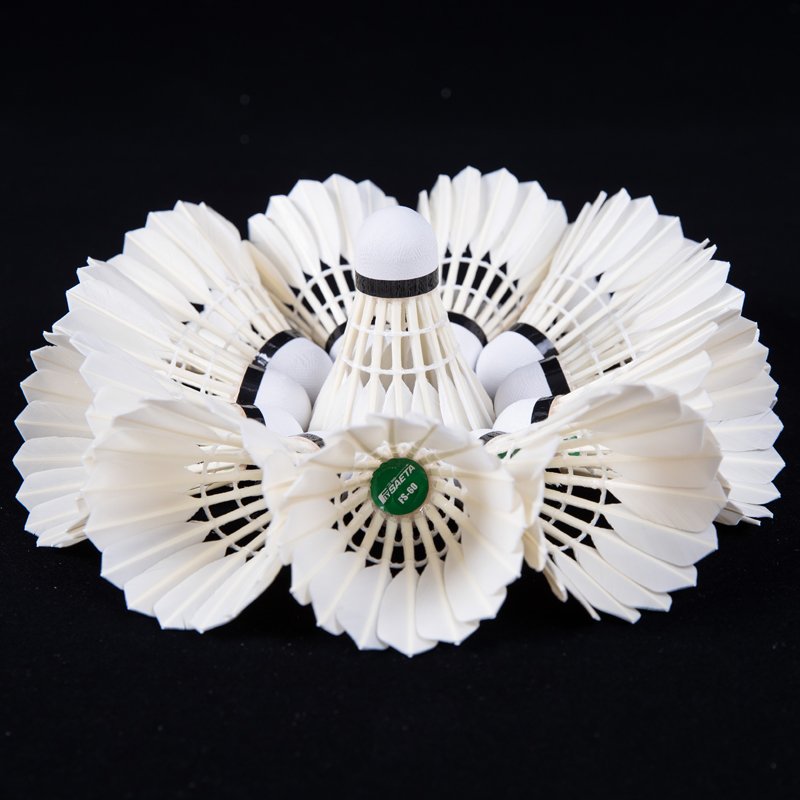 China Best Sale Goose Feather Ball of Victor Sports With White Color Badminton Shuttlecock Fly NO.60