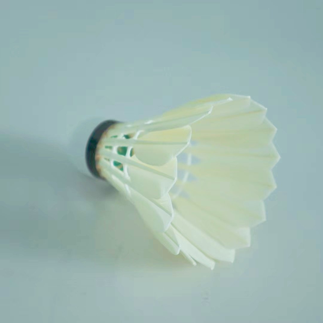 Super Durable Professional Level Class C Badminton Goose Feathers Shuttlecock
