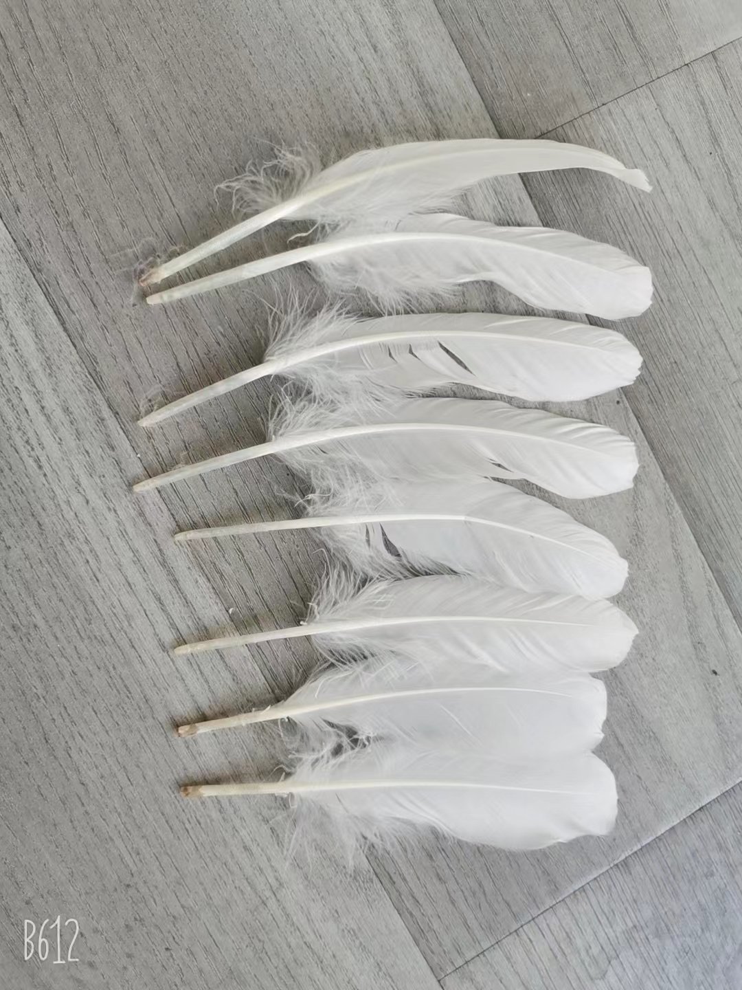 Feather Material for Badminton Shuttlecock Factory