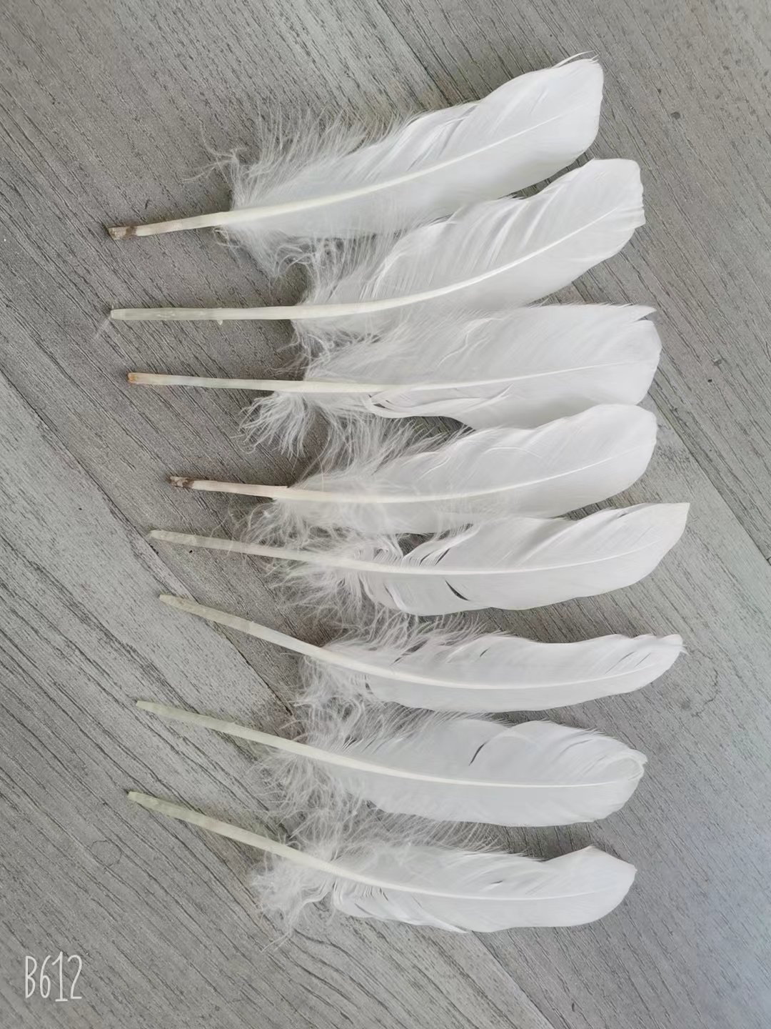 Feather Material for Badminton Shuttlecock Factory