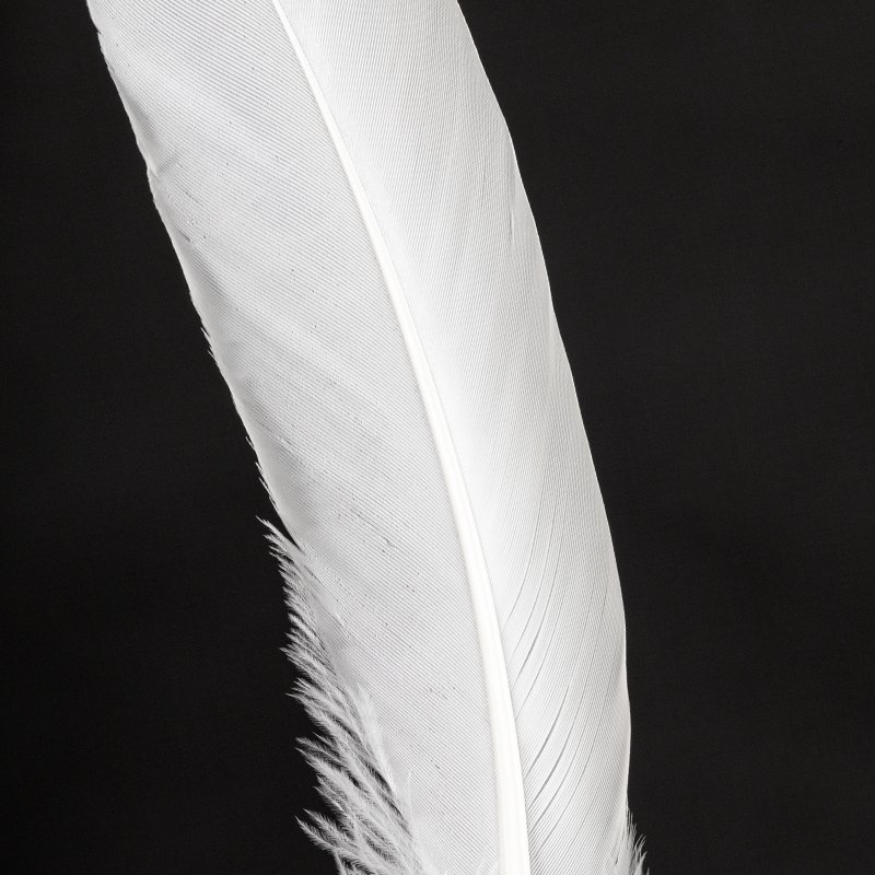 High Quality Duck Feather Shuttlecock and Badminton Direct Sale from Manufacturer Washed Accessory