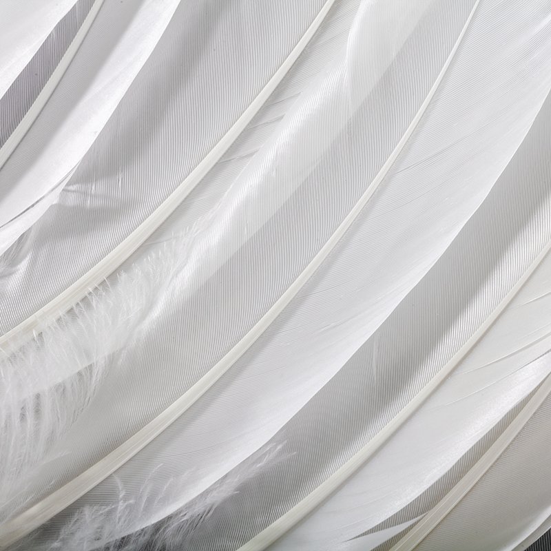 High Quality Duck Feather Shuttlecock and Badminton Direct Sale from Manufacturer Washed Accessory