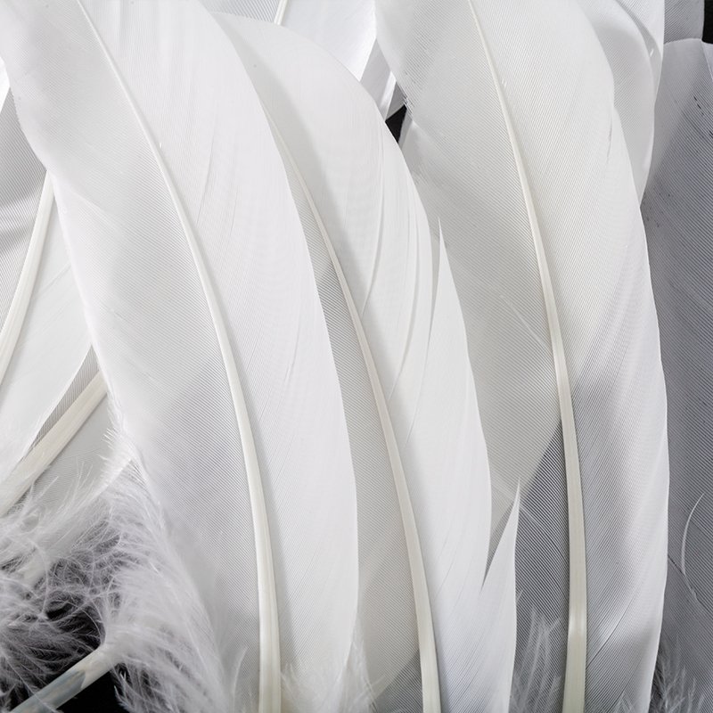 High Quality Duck Feather Shuttlecock and Badminton Direct Sale from Manufacturer Washed Accessory