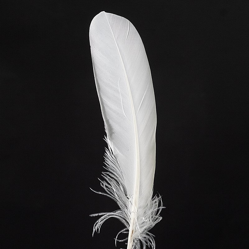 High Quality Duck Feather Shuttlecock and Badminton Direct Sale from Manufacturer Washed Accessory