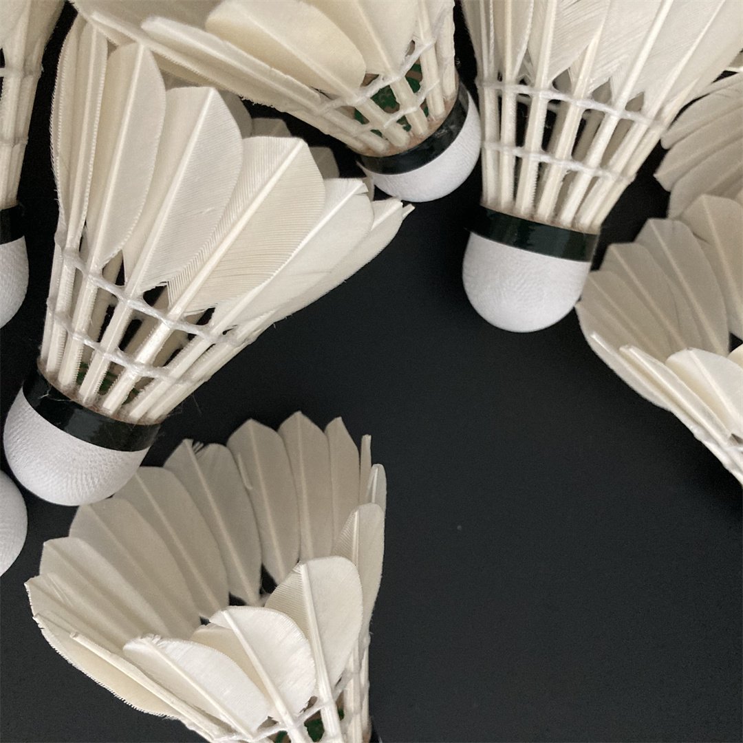 High Quality Badminton Shuttlecocks 6pcs