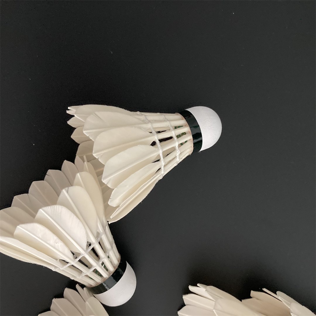 High Quality Badminton Shuttlecocks 6pcs