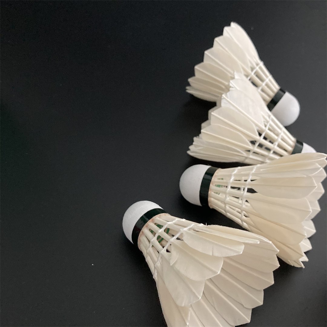High Quality Badminton Shuttlecocks 6pcs
