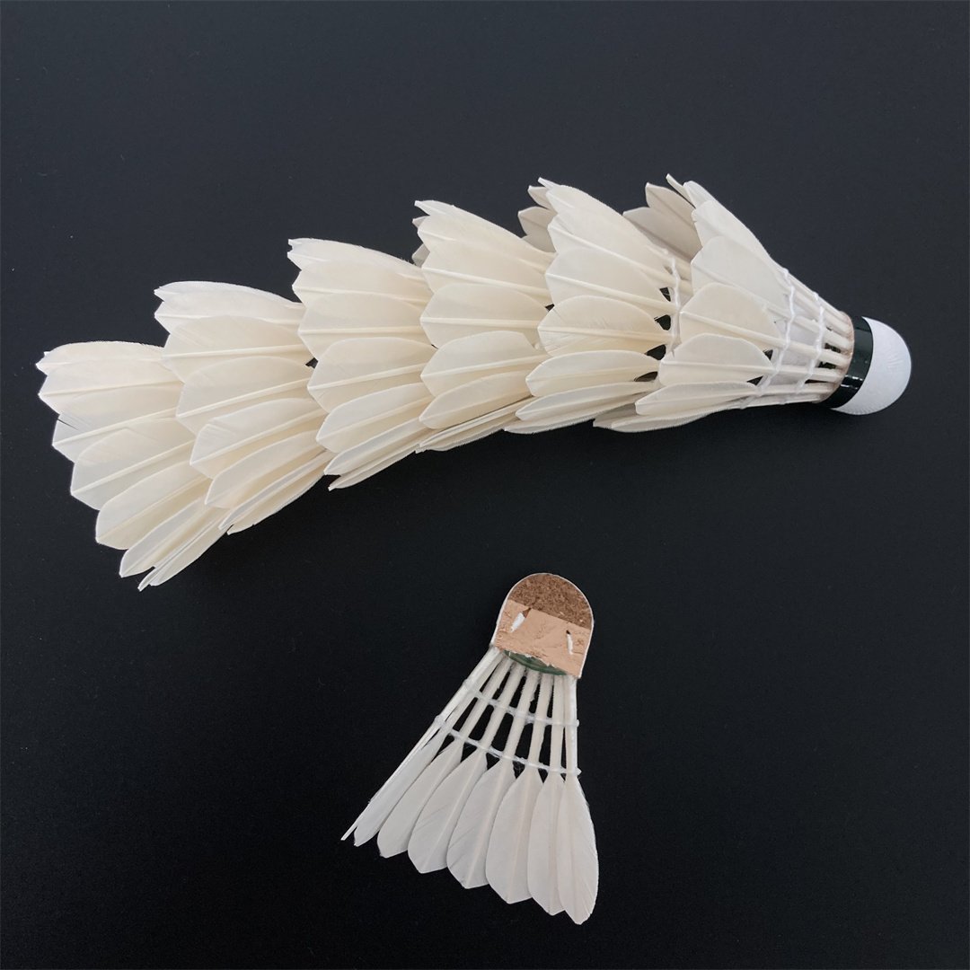 High Quality Badminton Shuttlecocks 6pcs