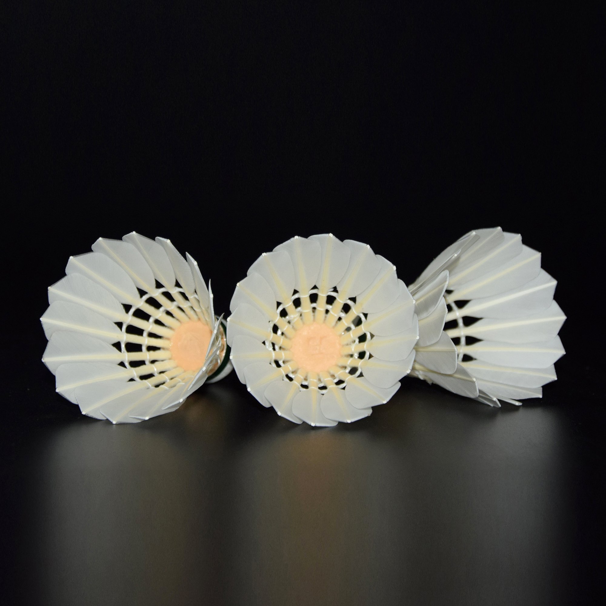 Shuttlecock same as gold Goose Feather Badminton Shuttlecock Suitable for Professional Players