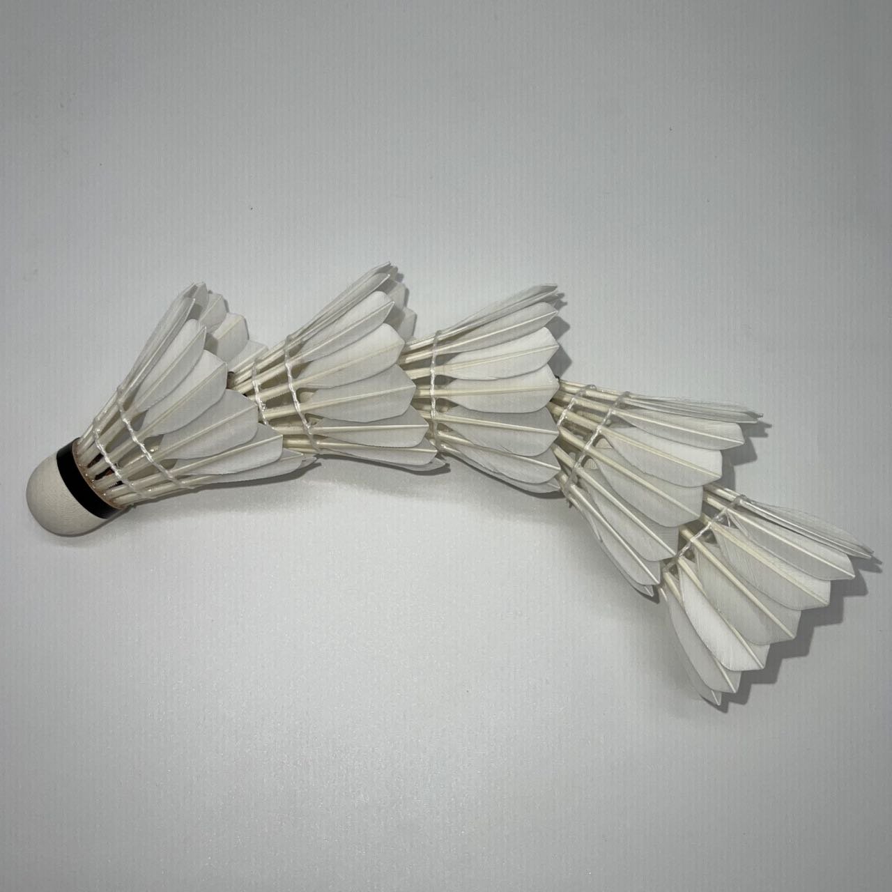 TCX-PRO Shuttlecock Most Durable Goose Feather Natural Cork Badminton Shuttlecock for Advanced Professional Badminton Players