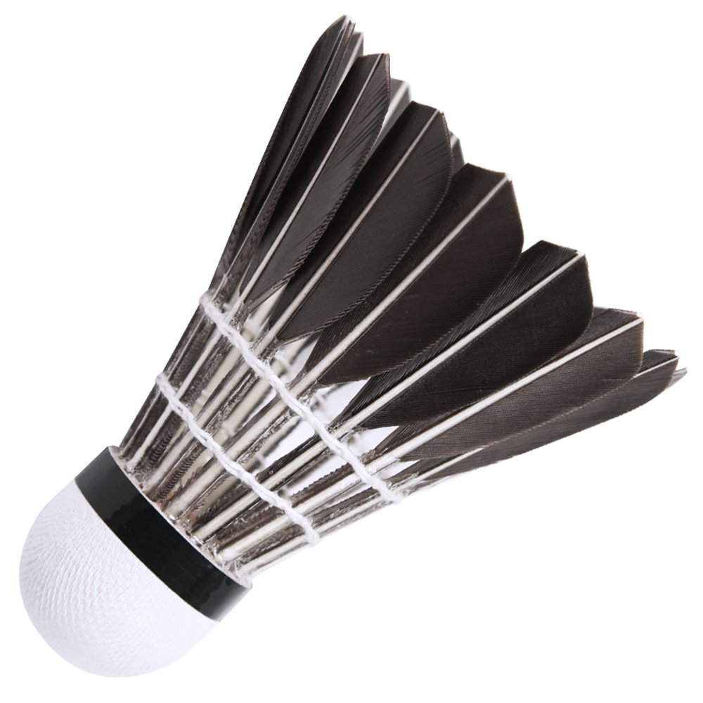OEM brand cheap price 6/12 pack badminton shuttle cock feather