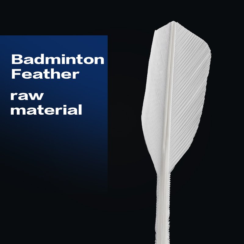 Super Durable Class a Goose Feather Badminton Shuttlecock for Training with Cork Head and Shuttlecock Model Number Class a