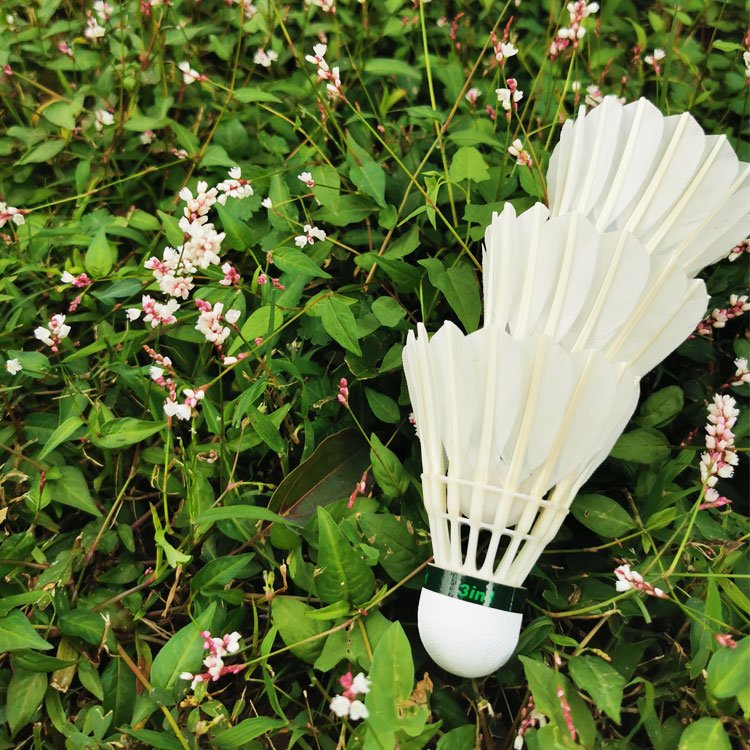 Factory Price International Brands Supplier Factory 3in1 Badminton Shuttlecock Class a Goose Feather