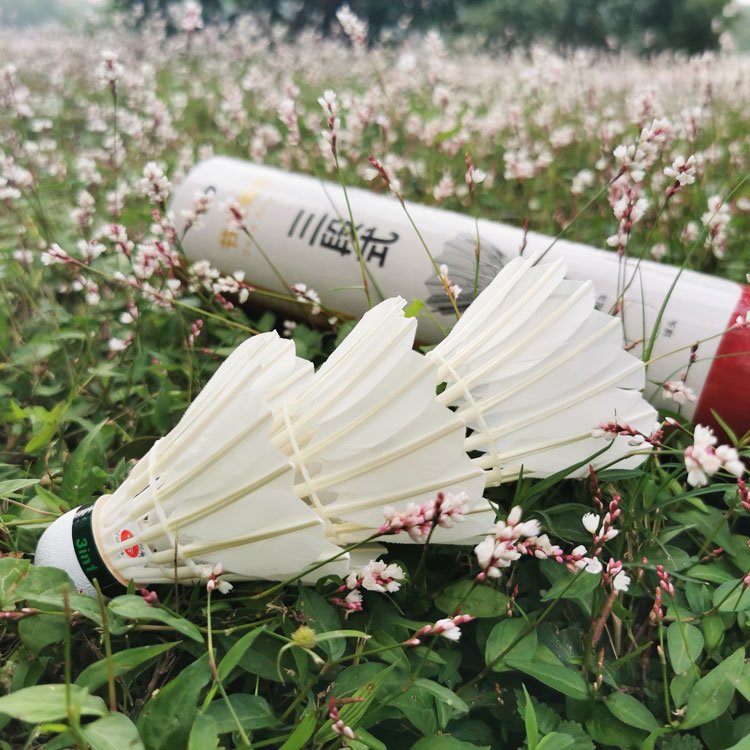 Factory Price International Brands Supplier Factory 3in1 Badminton Shuttlecock Class a Goose Feather