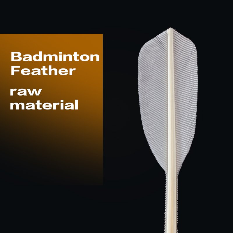 Factory Supply Customized OEM Badminton Shuttlecocks with Durable Duck Feather and White PU Cork Head for Training