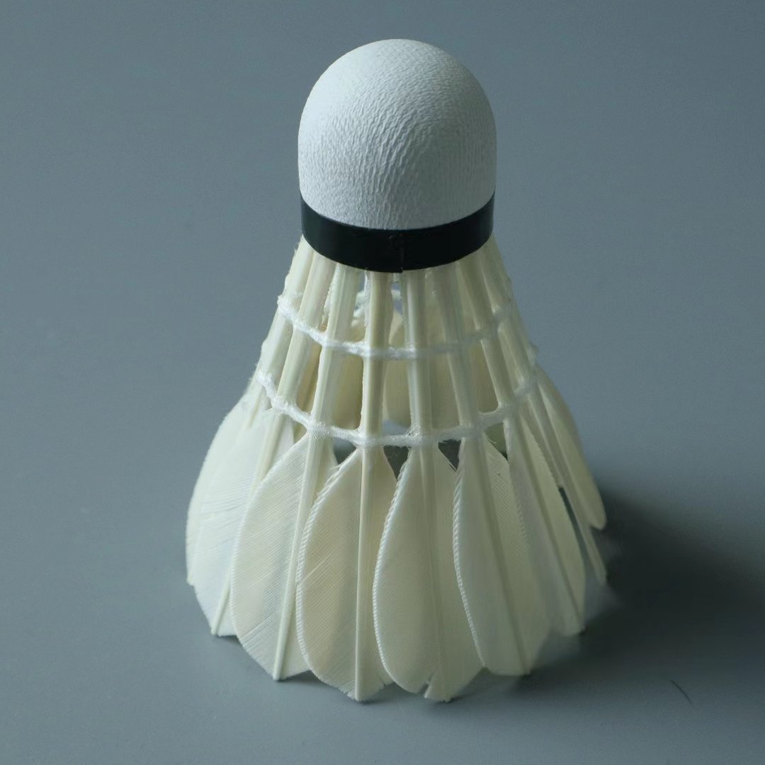 Professional Competition Price Shuttlecock G4 Badminton Suitable For club match
