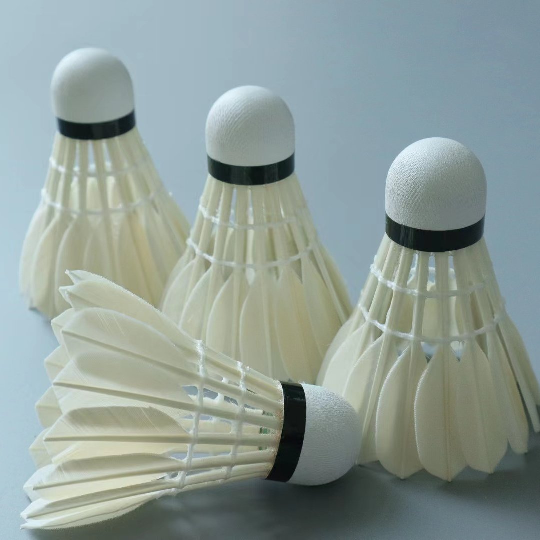 Professional Competition Price Shuttlecock G4 Badminton Suitable For club match