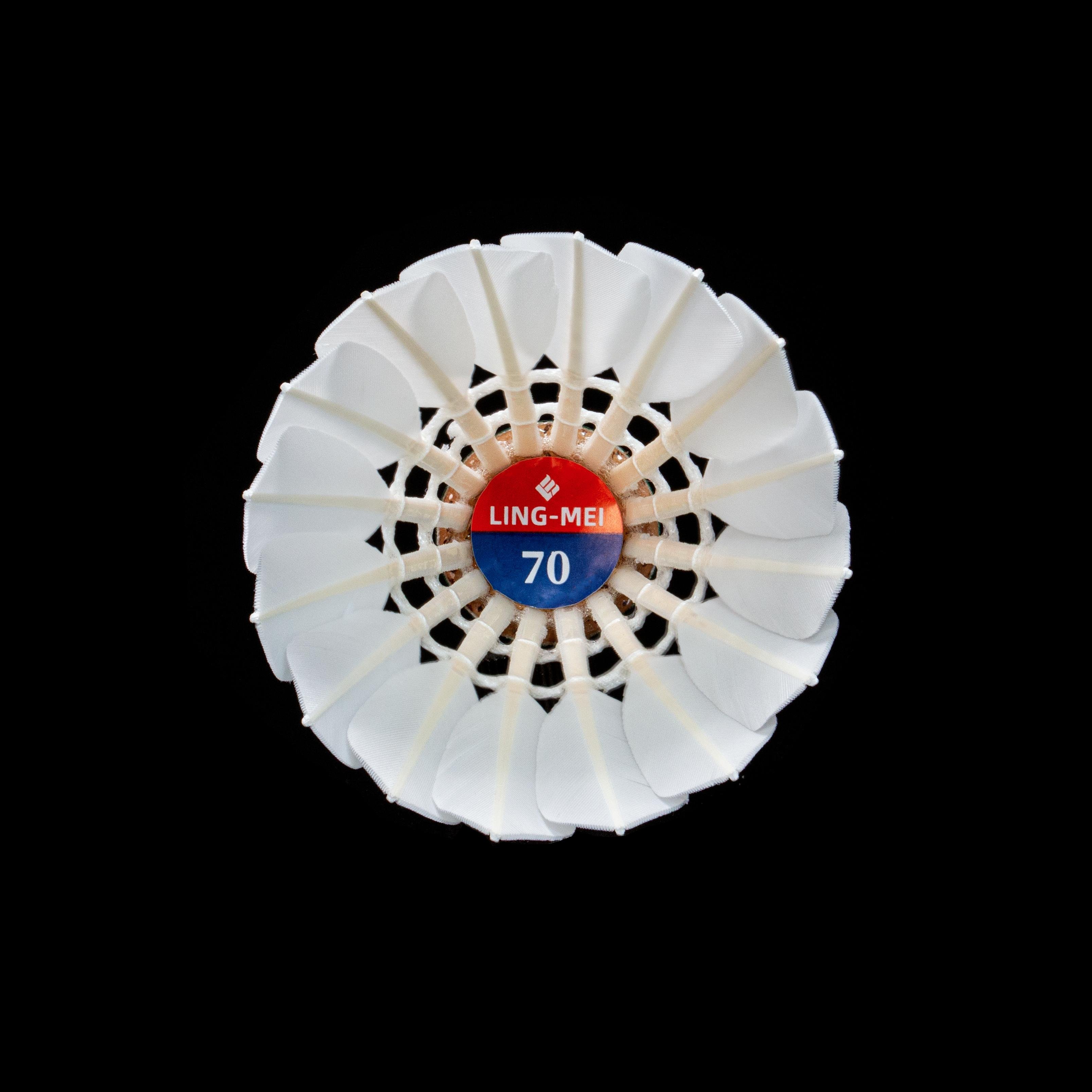 LINGMEI-70 Shuttlecock Goose Feather Badminton Shuttlecock For Tournament Training