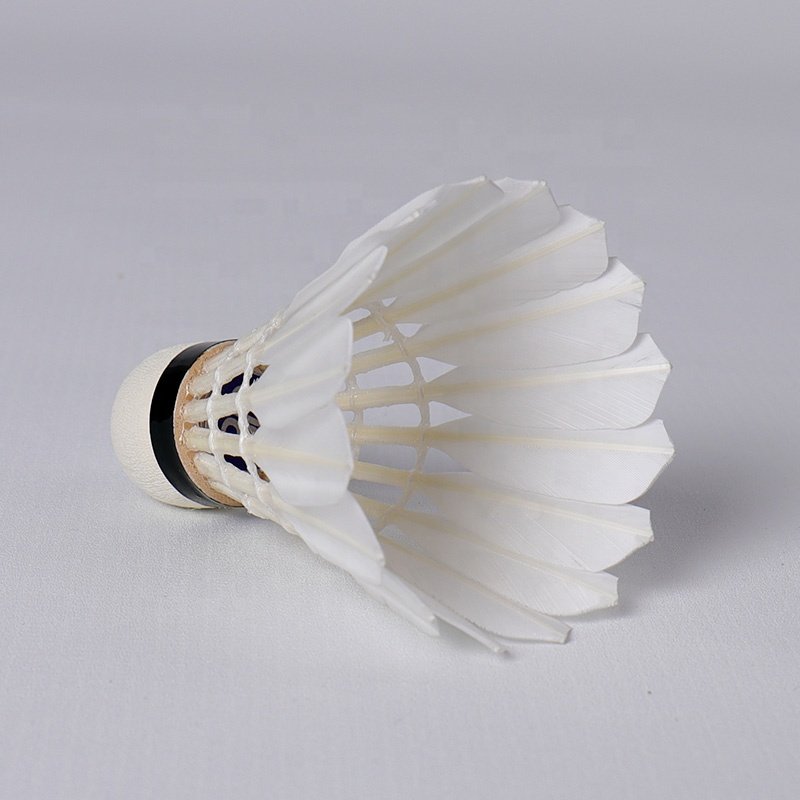 Custom Honkoo Branded Foam Cork Head Air Aeroplane Wholesale Duck Feather 12pcs Shuttlecock For Training