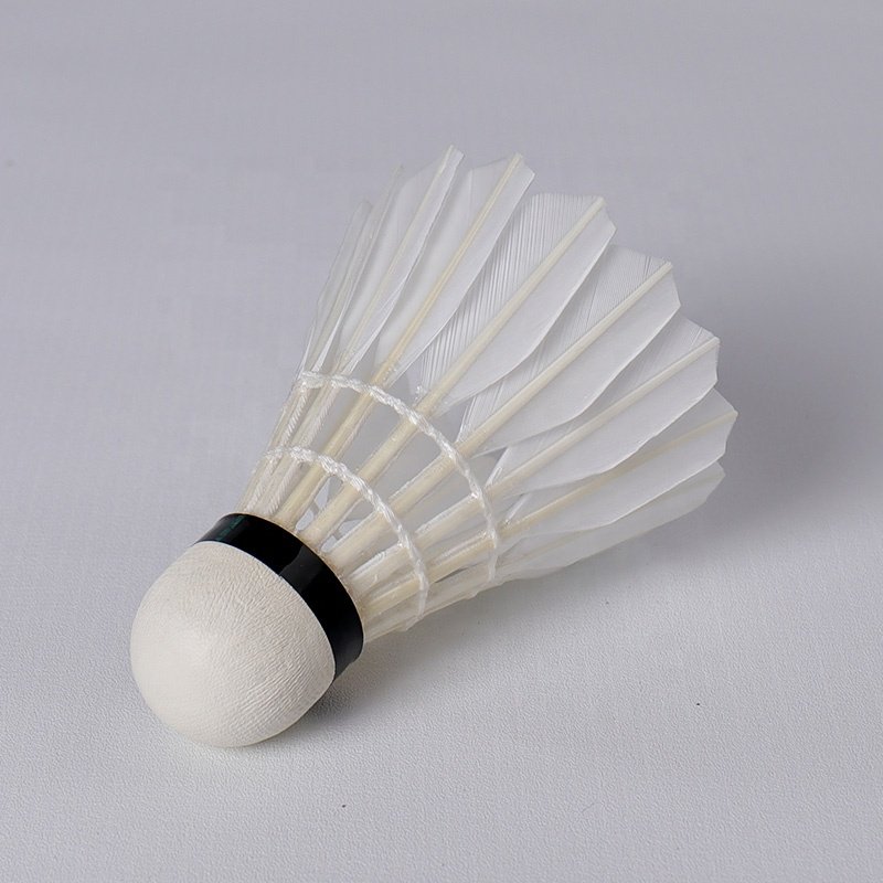 Custom Honkoo Branded Foam Cork Head Air Aeroplane Wholesale Duck Feather 12pcs Shuttlecock For Training