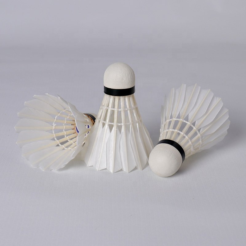 Custom Honkoo Branded Foam Cork Head Air Aeroplane Wholesale Duck Feather 12pcs Shuttlecock For Training