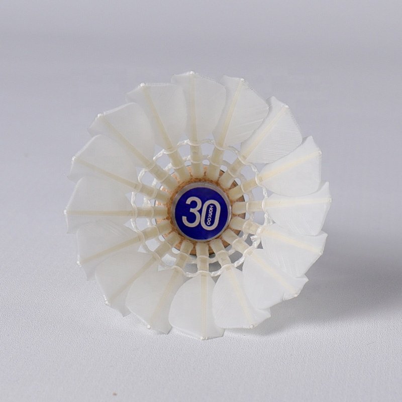 Custom Honkoo Branded Foam Cork Head Air Aeroplane Wholesale Duck Feather 12pcs Shuttlecock For Training