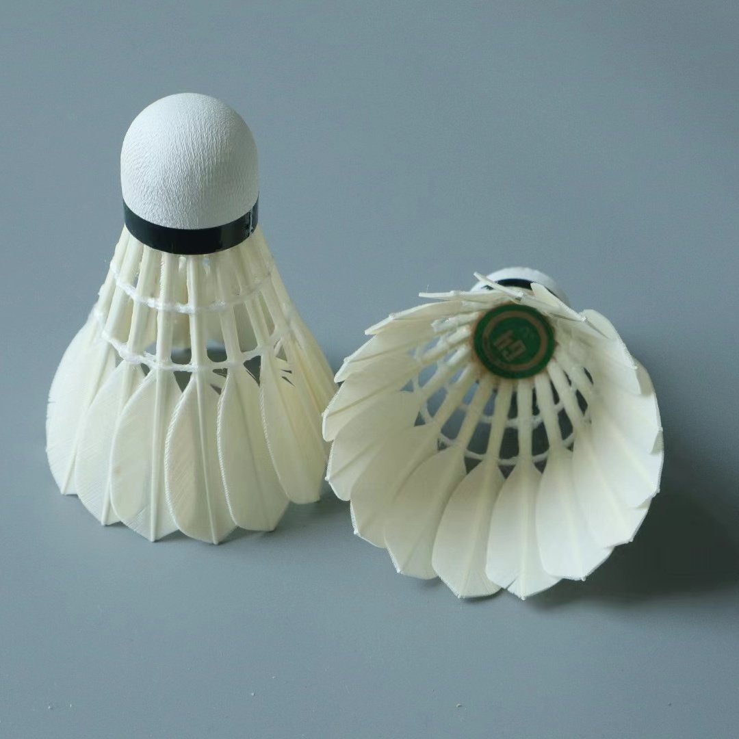 Best Quality Badminton Shuttlecock Indoor Goose Feather G4 Economical Type