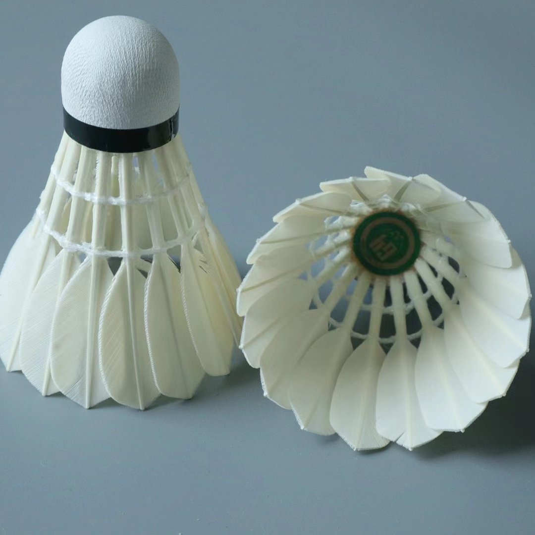 Best Quality Badminton Shuttlecock Indoor Goose Feather G4 Economical Type