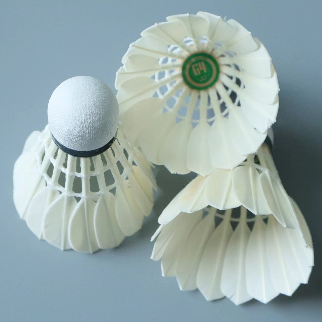Best Quality Badminton Shuttlecock Indoor Goose Feather G4 Economical Type