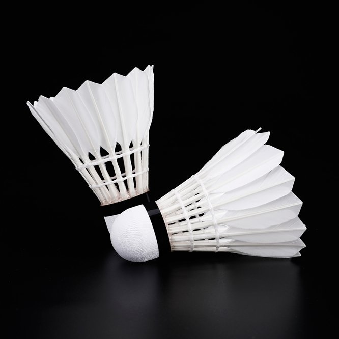 Factory duck Feather of Cheap Badminton for outdoor training