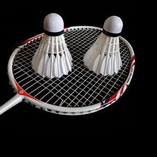 DunRun Badminton Ball Custom Logo High Quality Super Grade Badminton Shuttlecock Goose Feather