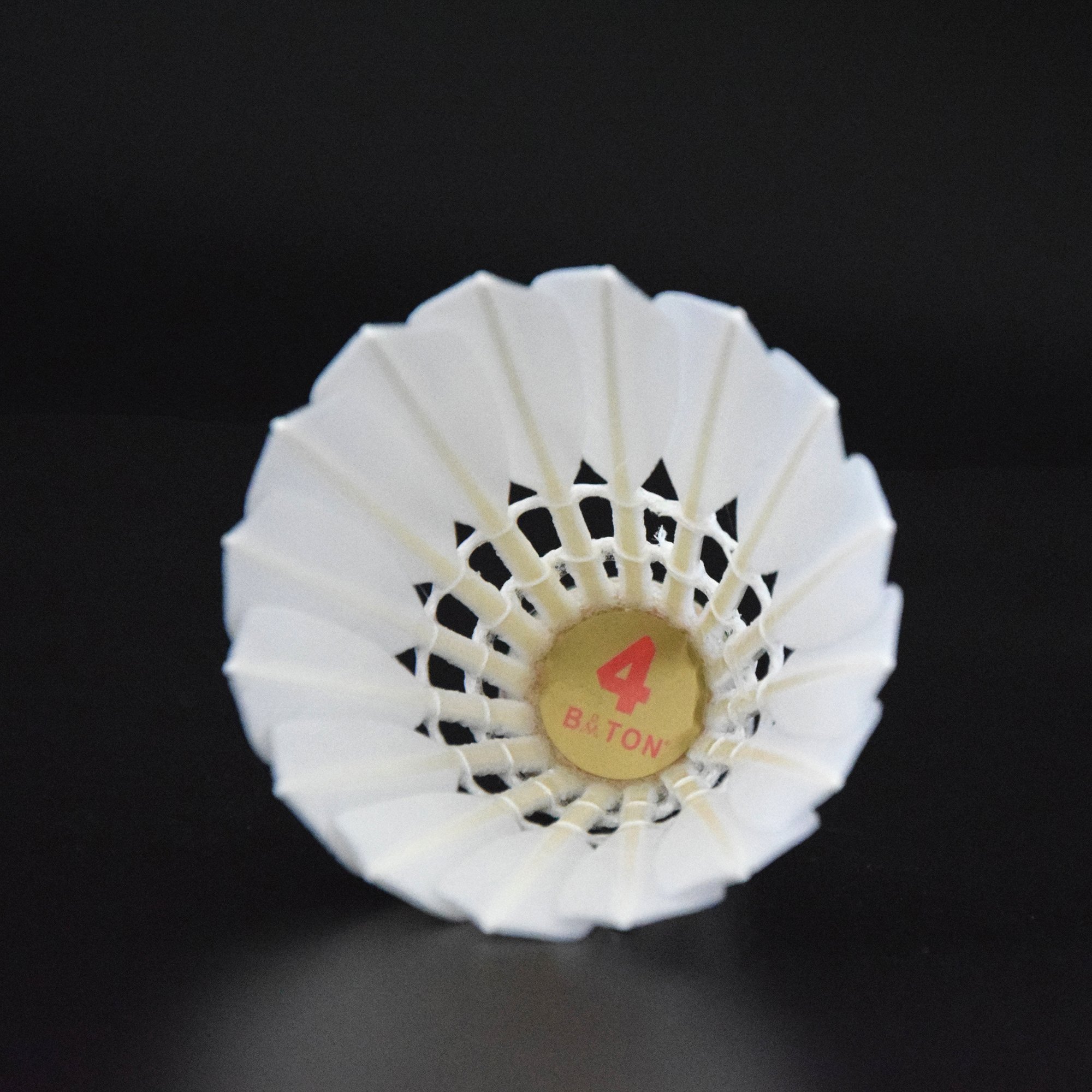Sports Badminton Stable And Resistant Professional Game Training Shuttlecock Badminton