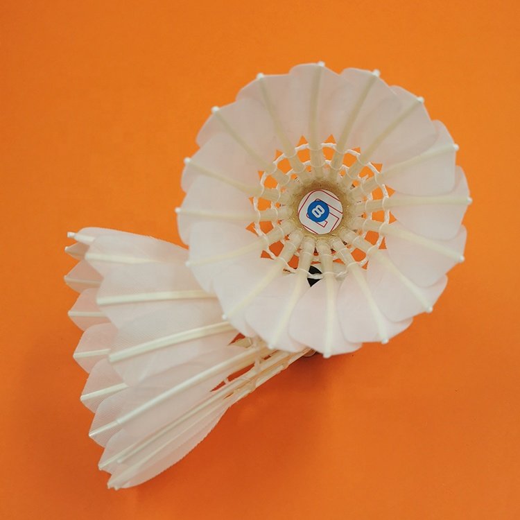 Quality Shuttlecocks Wholesale Badminton Shuttlecock Goose Feather for Tournaments Pluma de ganso con volante