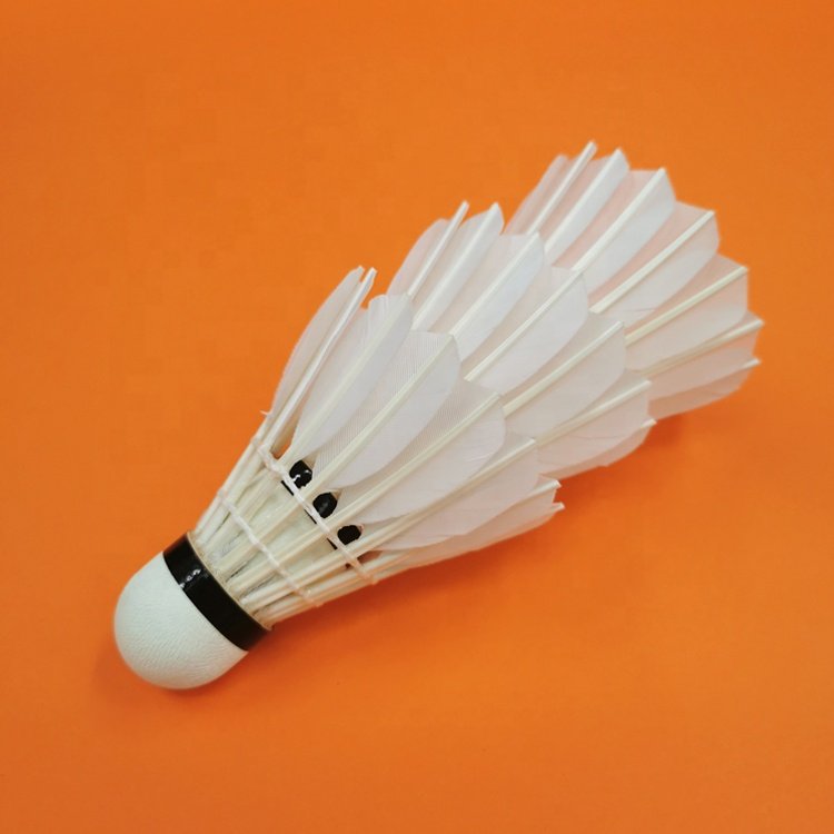 Quality Shuttlecocks Wholesale Badminton Shuttlecock Goose Feather for Tournaments Pluma de ganso con volante