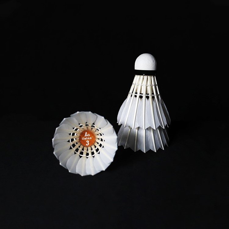 Hot promotional new color custom professional high quality durable shuttlecock badminton