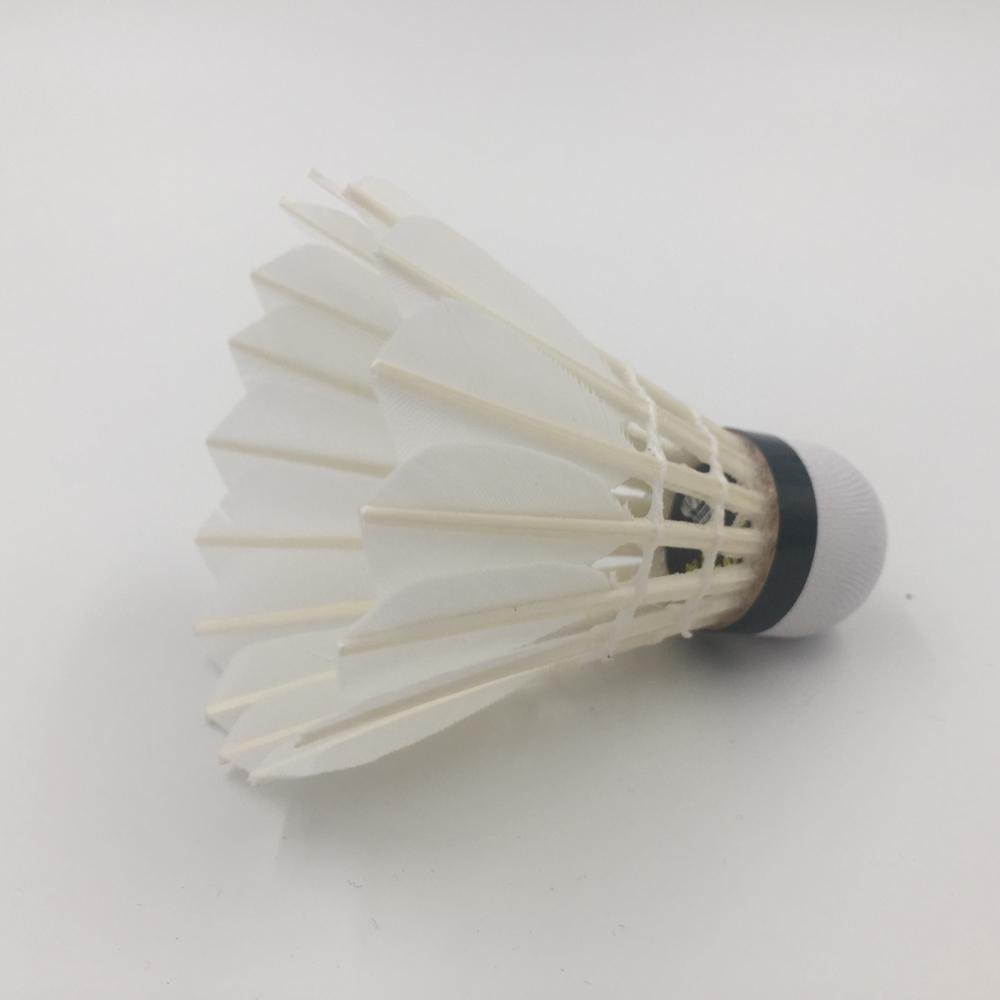 Black Linton Nature Straighten Goose Curved Feather Badminton Shuttlecock