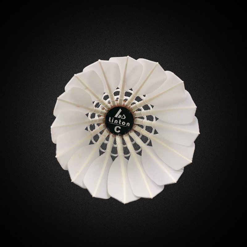 Good Quality Oem Goose Feather Custom Outer Packaging Silver Classic Badminton Shuttlecock