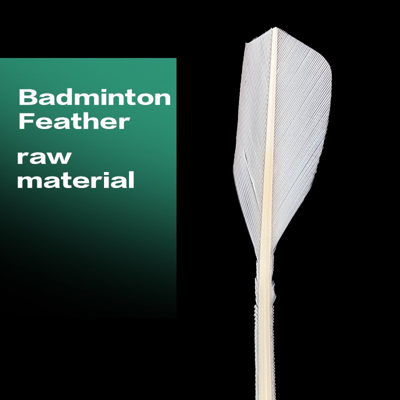 OEM Customized Duck Feather Badminton for Training Durable with Cork Head and Duck Feather Factory Supply