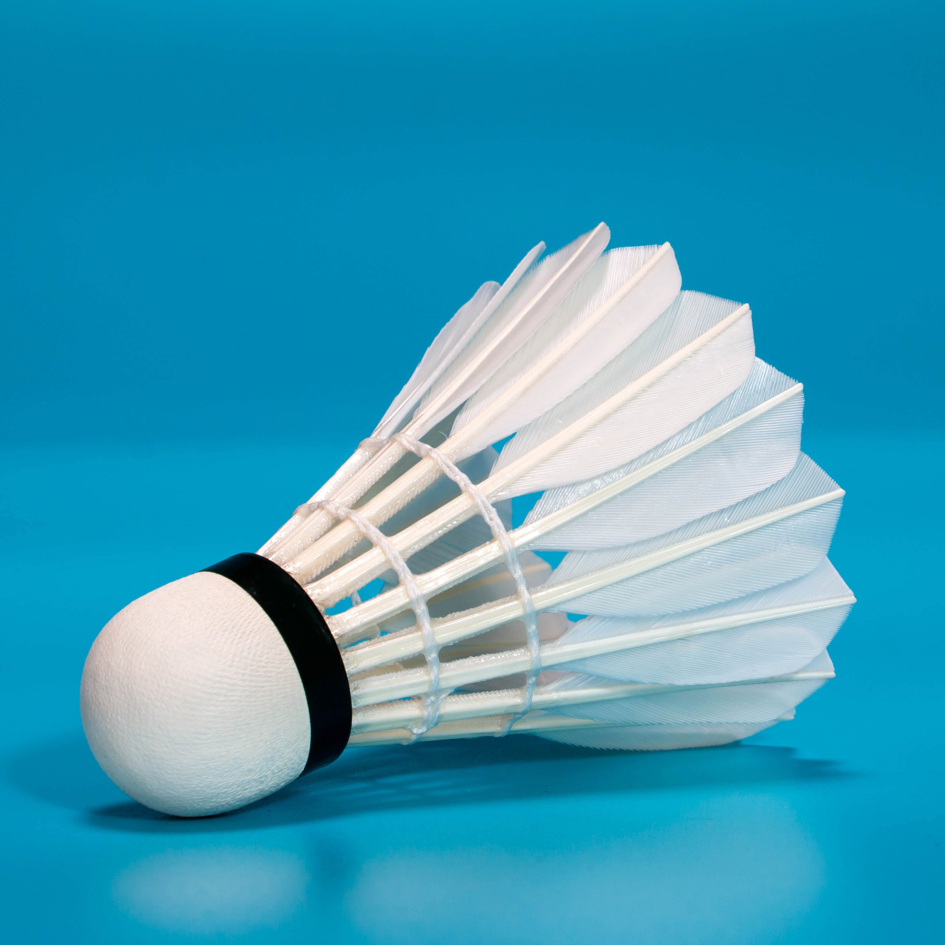 badminton aeroplane shuttlecock eg1130 badminton shuttle lingmei 10pro