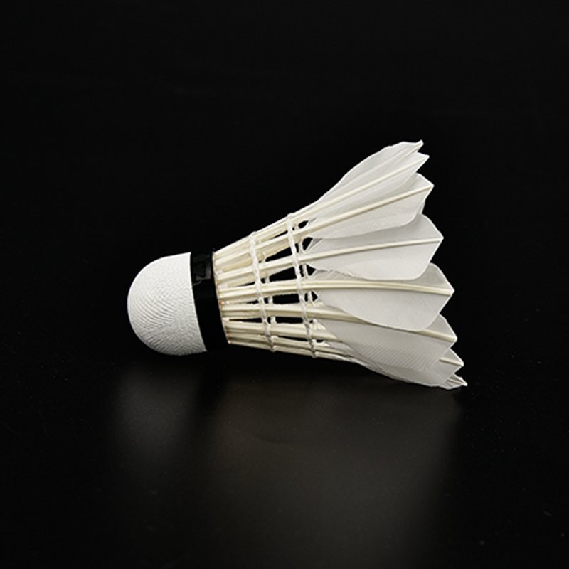 Factory supply Taiwan fiber cork white color 12pcs/tube durable goose feather badminton balls