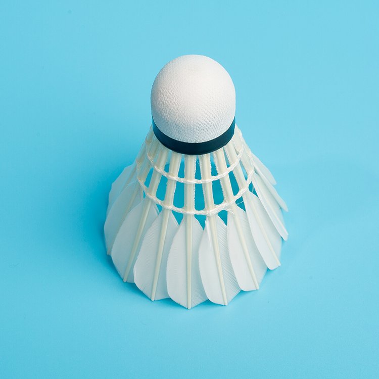 TCX-999 Series goose feather badminton shuttlecock from China Anhui.hot sale