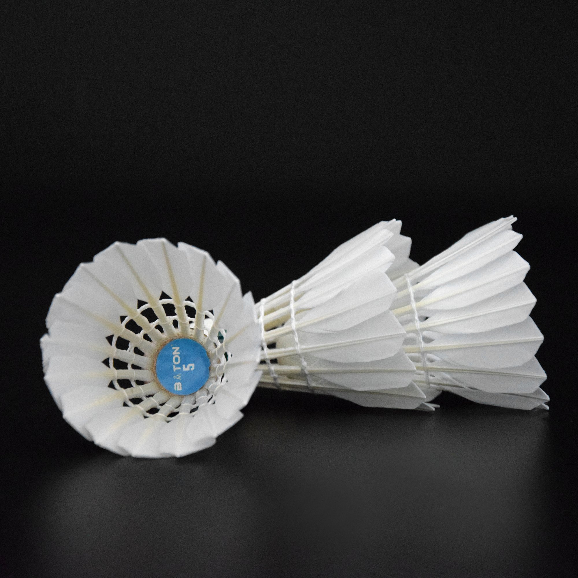 Cheap Badminton RCL Titanium Shuttlecock