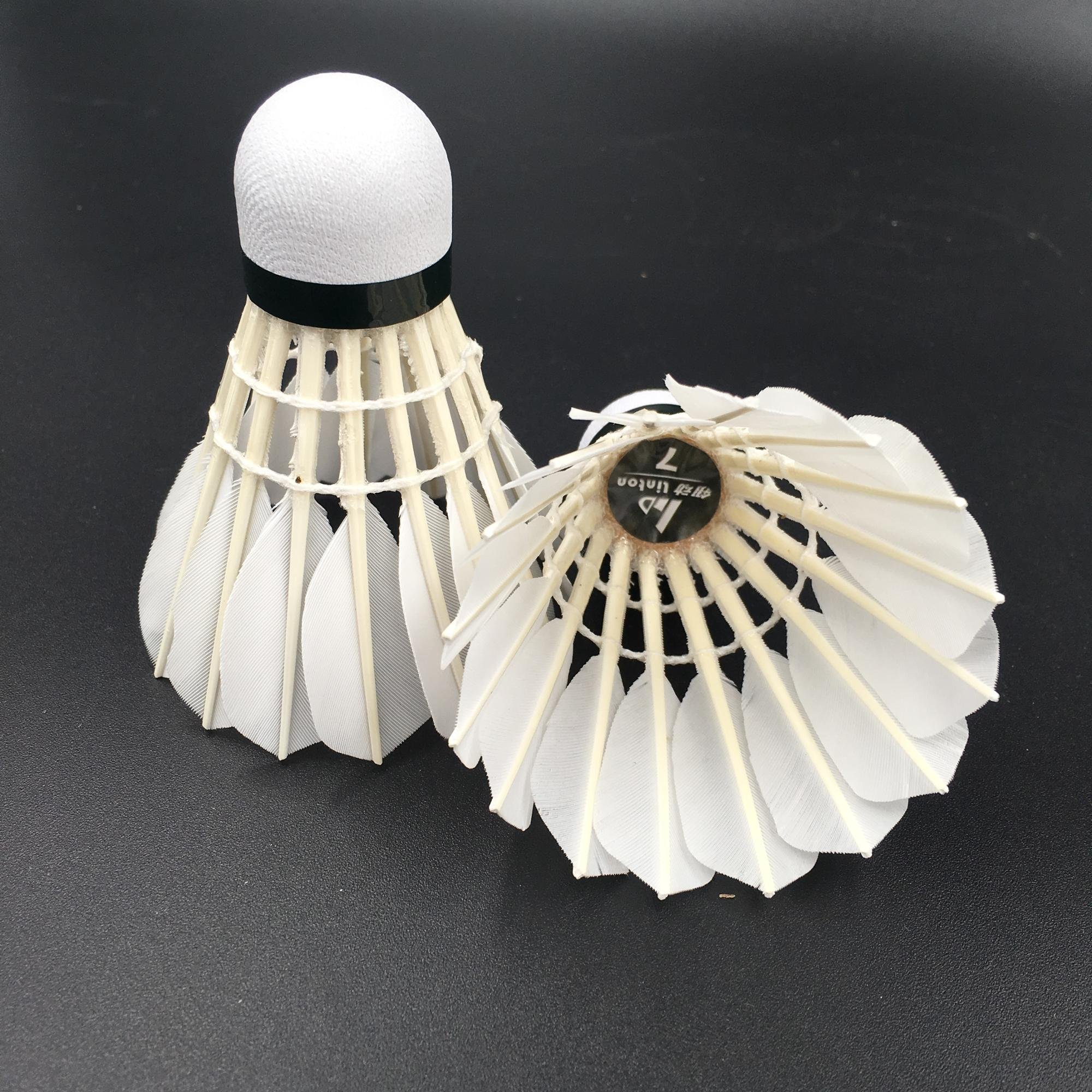 New arrival advanced glue and technology goose black feather goose Shuttlecocks