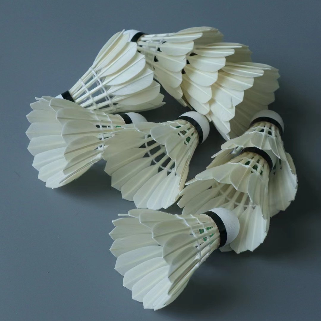 Best Badminton Shuttlecock G4 Hot Selling
