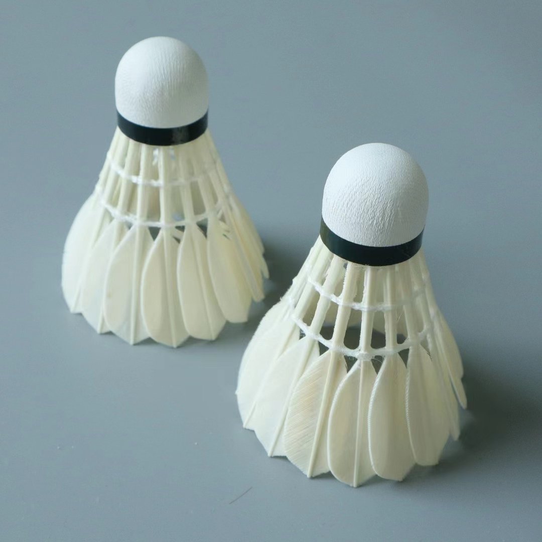 Best Badminton Shuttlecock G4 Hot Selling