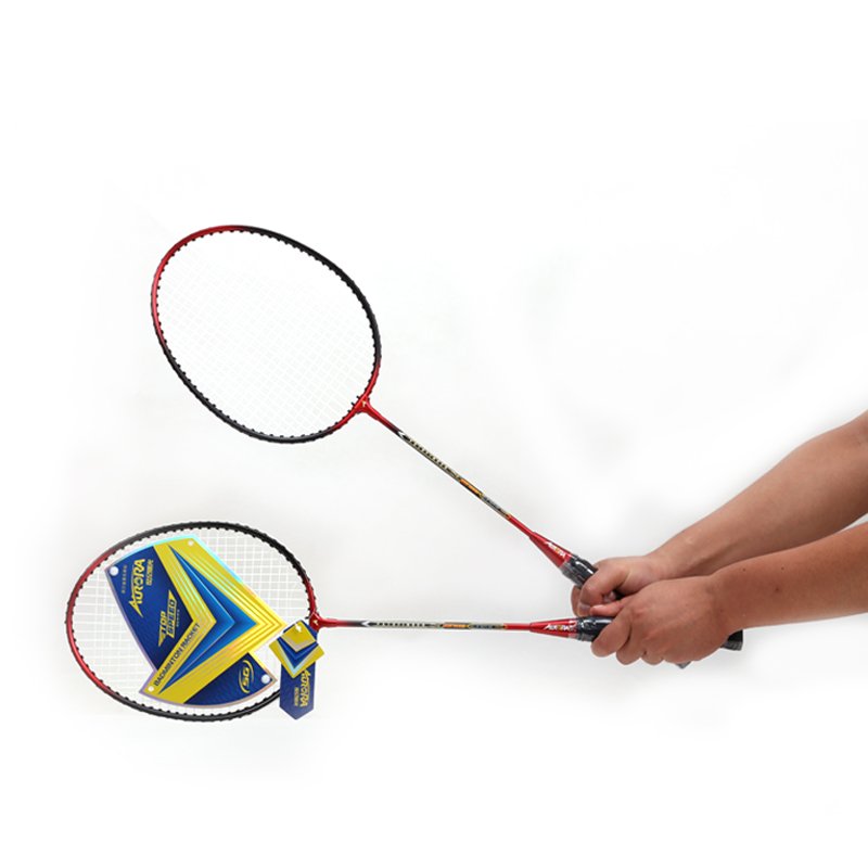 Cheap Hot Sale Top Quality Professional Training Set Shuttlecock Price Racket Badminton